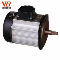 AC motor famoso de la grúa del bldc de la marca famosa del motor de la CA